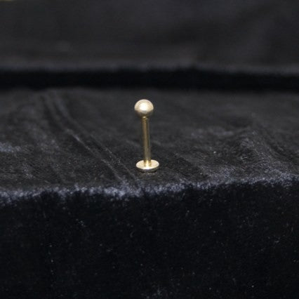 14g Pyrite Gold Titanium Labret