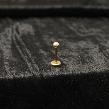 16g Pyrite Gold Titanium Labret