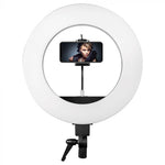 18” Round Head LED Floor Lamp