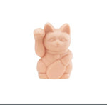 A Pound of Flesh - Lucky Cat