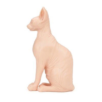 A Pound of Flesh - Naked Cat