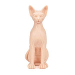 A Pound of Flesh - Naked Cat