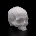 A Pound of Flesh - Silicone Synthetic Skull