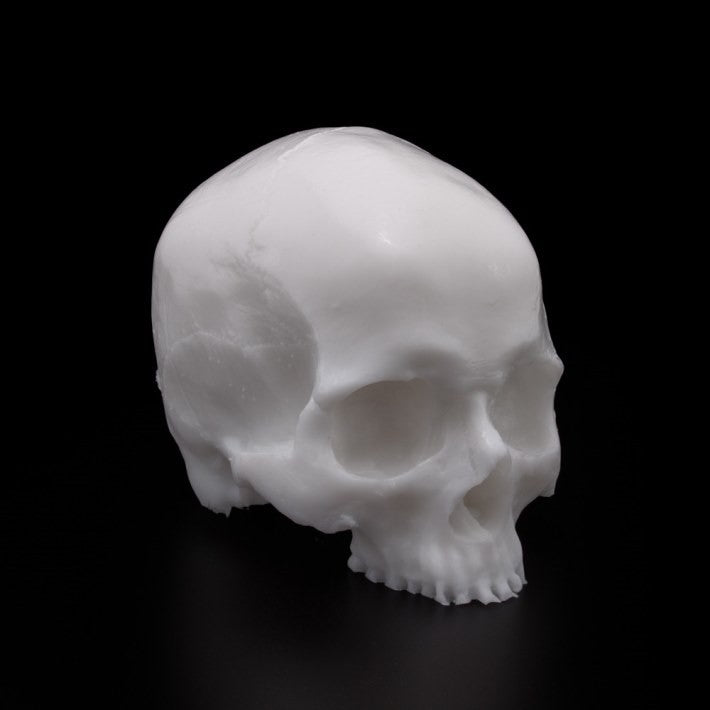 A Pound of Flesh - Silicone Synthetic Skull