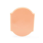 A Pound of Flesh Micro Series Tattooable Synthetic Small Plaque - Fitzpatrick Tone 2