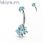 14g 3/8" Internally Threaded Titanium Curved Barbells with CZ Cluster