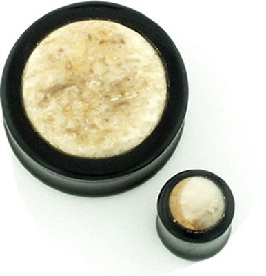 Black Water Buffalo Horn Plugs with Fossilized Walrus Tusk