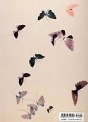 Butterfly Tattoo Flash Book by Spider Webb