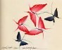 Butterfly Tattoo Flash Book by Spider Webb