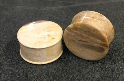 Classic Plugs in Javanese Fossilized Wood - Style 2B