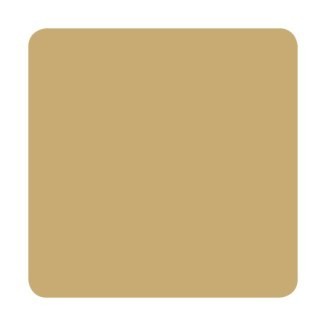 Ochre - Standard Colors - Eternal Tattoo Ink