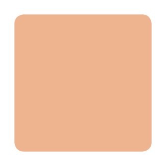 Peachy Flesh - Muted Earth Tones - Eternal Tattoo Ink