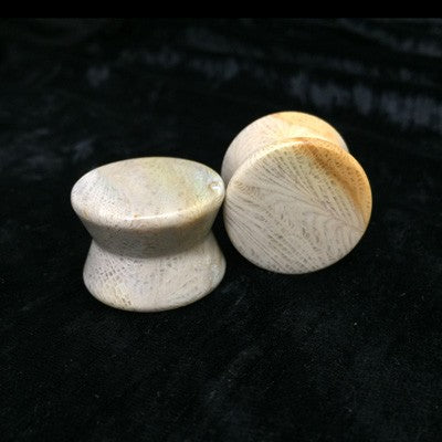 Hourglass Plugs in “Golden” Gold Fossilized Coral