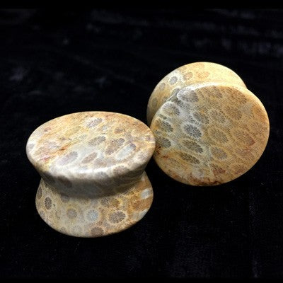 Hourglass Plugs in “Gem Quality” Gold Fossilized Coral