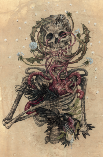 Image alt