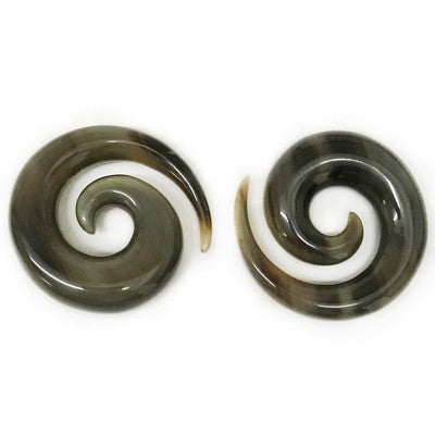 Large Long Spirals in Tortoise Water Buffalo Horn