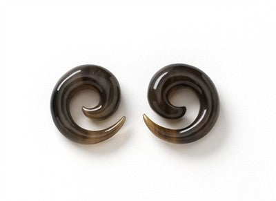 Small Long Spirals in Tortoise Water Buffalo Horn