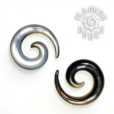 Large Diameter Mother of Pearl Spirals in Oyster