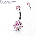 14g 3/8" Internally Threaded Titanium Curved Barbells with CZ Cluster