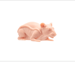 A Pound of Flesh Tattooable Naked Rat