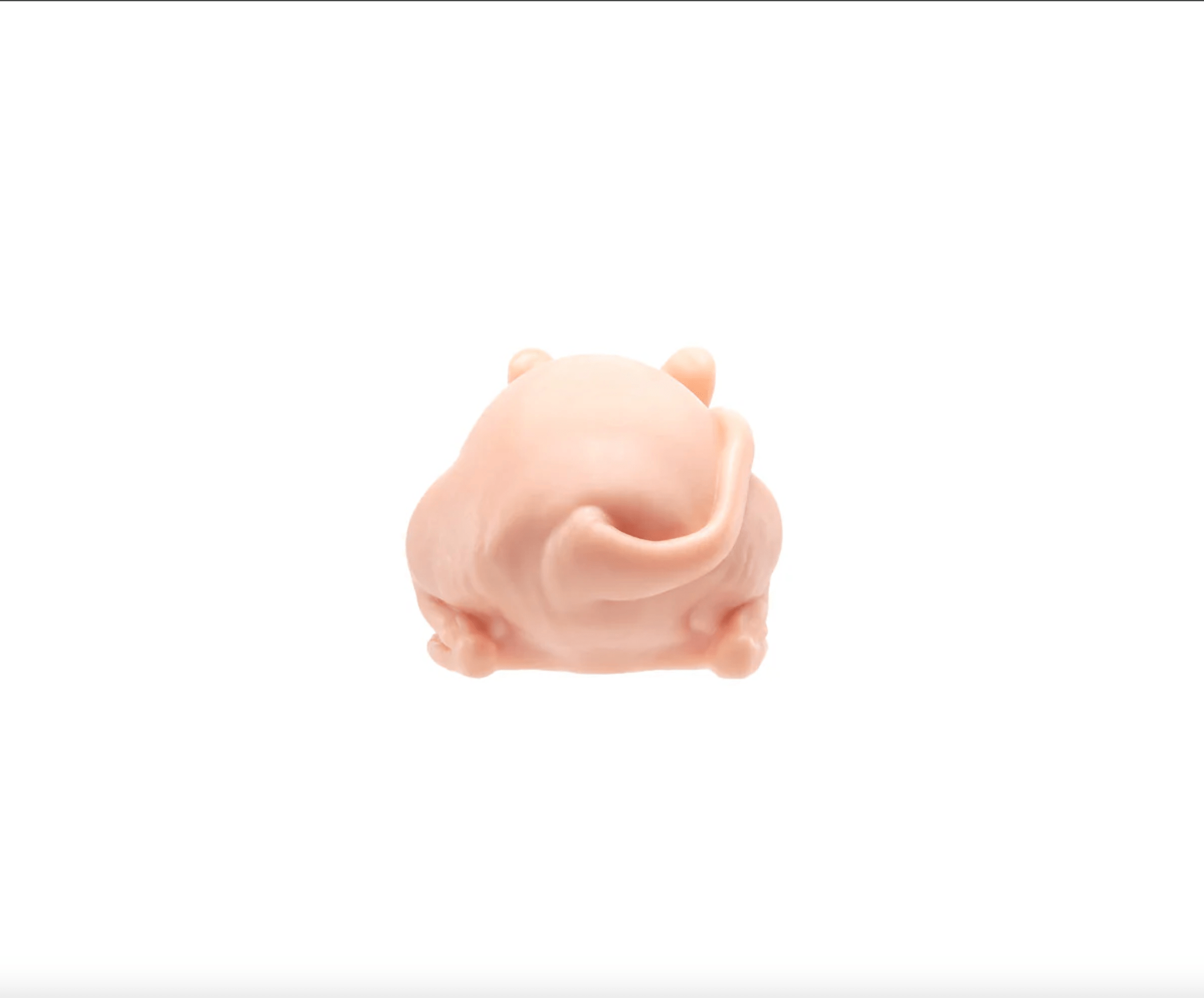 A Pound of Flesh Tattooable Naked Rat