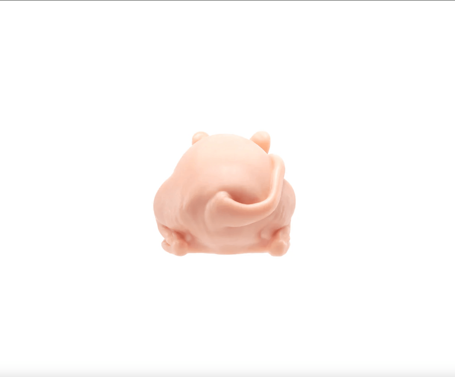 A Pound of Flesh Tattooable Naked Rat