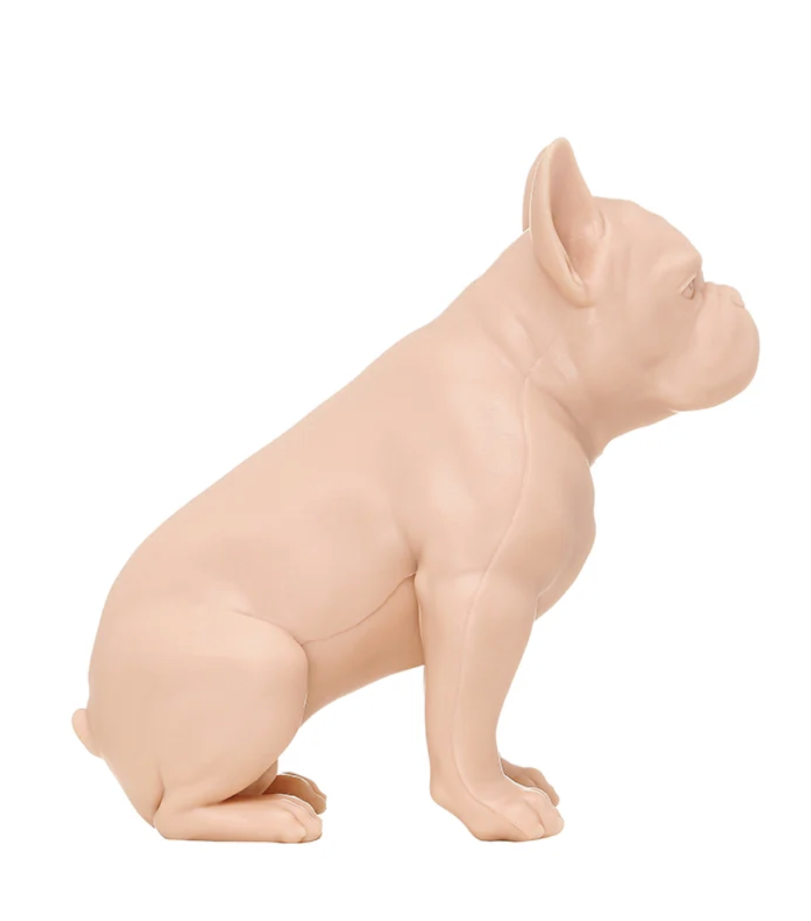 A Pound of Flesh Tattooable French Bulldog
