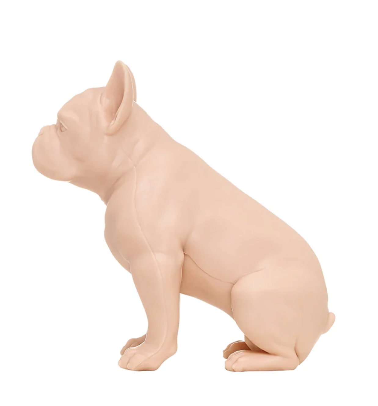 A Pound of Flesh Tattooable French Bulldog