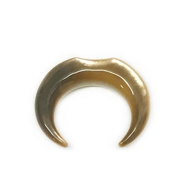 Septum Pinchers in Oyster Colored Mother of Pearl